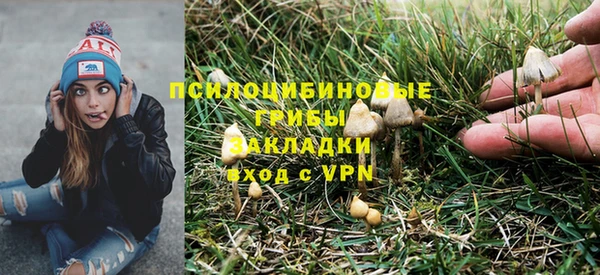 ГАЛЛЮЦИНОГЕННЫЕ ГРИБЫ Заволжск