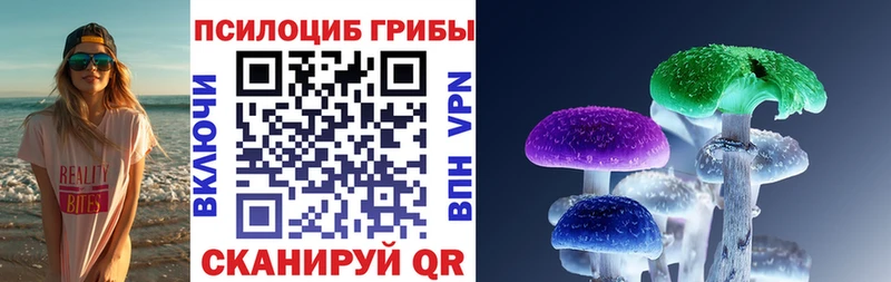 Галлюциногенные грибы Cubensis Купить Гороховец